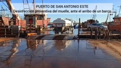 Photo of Desinfección preventiva del muelle del Puerto de aguas profundas de SAE