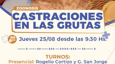 Photo of #Zoonosis | Turnos disponibles para la jornada de castraciones del día 25/08 en Las Grutas