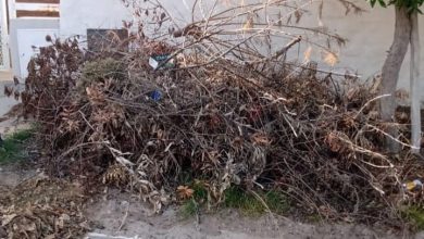 Photo of #LasGrutas | Los vecinos que dejen restos de poda sobre su frente serán notificados