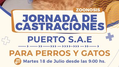 Photo of #Zoonosis | Turnos disponibles para la jornada de castración masiva en San Antonio Este