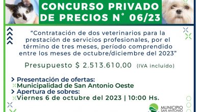 Photo of Concurso Privado de Precios para la contratación de veterinarios, periodo octubre-diciembre