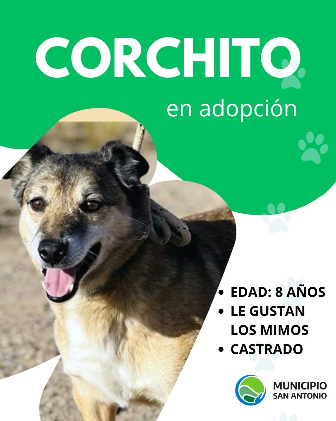 Corchito